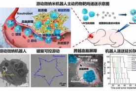 中国学者在游动微纳机器人治疗胶质瘤研究上取得重要进展图片