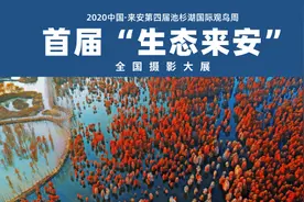 首届“生态来安”全国摄影大展征稿启事图片