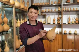 河南孟津一男子结缘葫芦13年  最贵的“葫芦娃”售价上万元图片