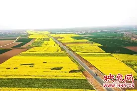 以花为媒迎宾朋 邓州市十林镇“油菜花季双周游”开启图片