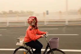 北方多地日前出现沙尘暴 三北防护林功效几何？图片
