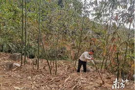 揭东第一金融主力军！揭东农商全力服务地方经济，为发展提供强大金融支撑图片
