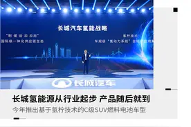 国产氢能燃料车即将到来！不是丰田和本田，而是名字五花八门的长城图片