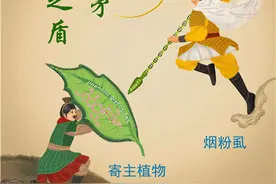 植物大战昆虫“矛”与“盾”图片