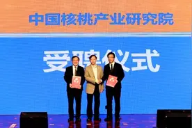 养元新品六个核桃“2430”重磅发布 推进核桃产业品质升级图片