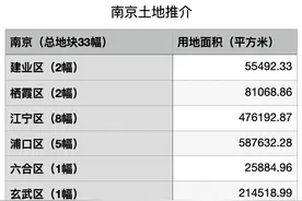 南京今年宅地分三批集中出让，33幅218公顷土地上线推介图片