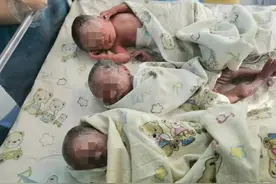 青岛40岁高龄产妇生下三朵金花！一卵三胎…极为罕见！产前好一个惊心动魄…图片