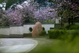 柳州这处墓园竟引得市民“打卡”赏花图片