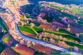 河南孟津乡村由“一处美”向“处处美”“蝶变”图片