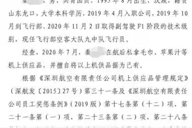 深航回应“飞行员私拿机上供用品被处罚”：网上不是都说了嘛，是女朋友举报的图片