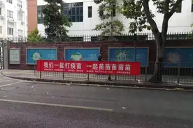 论圳｜深圳，一座生产“出圈”标语的城市图片