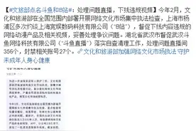 文旅部点名斗鱼和B站：处理问题直播，下线违规视频图片