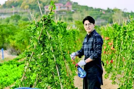 从靳东、来喜、邵峰到王丽坤、王力可、程琤 农村题材的“山东面孔”渐清晰图片