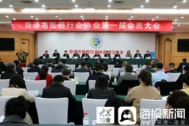 医药行业“里程碑”菏泽市医药行业协会成立图片