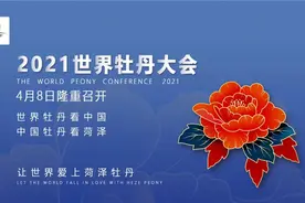 菏泽牡丹区重点推出“办好十项特色活动、提升十处旅游景点、推出十个旅游产品”图片