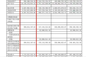 海尔消费金融2020年业绩出现两位数下滑，内忧外患谋转型图片
