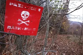 无人机+蜜蜂能探雷！巴尔干半岛11万颗地雷难除，科学家联手寻奇招图片