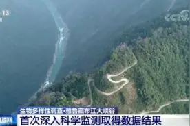 探秘地球秘境雅鲁藏布江大峡谷 各种或神秘或稀有的动物让人大开眼界图片