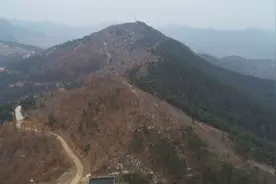 泰安新泰市高质量推进美丽生态城建设图片