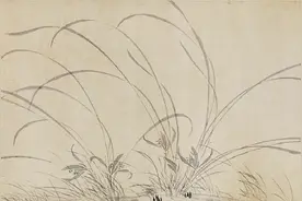 以兰为姓，空谷抱幽踏香来图片