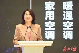 董明珠：选择在武汉投资是英明的决定图片
