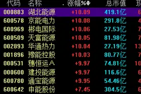 游资大幅抢筹，电力股掀起涨停潮，机构称仍有上涨空间图片