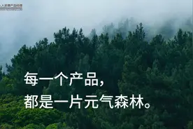 谁是下一个元气森林、水中茅台？图片