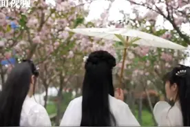 花开四川丨汉服一袭樱花缤纷 四川什邡樱花谷绽放别样春景视频封面