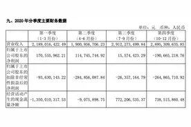锦江国际2020年营收同比降三成，净利受国际业务拖累图片