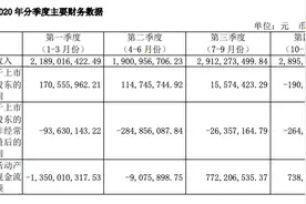锦江国际2020年营收同比降三成，净利受国际业务拖累图片