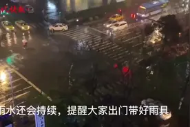 雷滚滚、雨沥沥！江苏多地响起入春后第一声惊雷，你听到了吗？图片