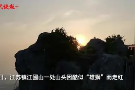 镇江一山头酷似狮子，网友：辛巴，是你吗？图片