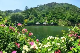 魏新：春风一吹，济南就成了江南图片
