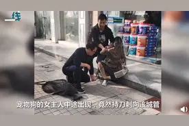 女子被城管用套狗的网子套住，知晓原因后，网友都力挺城管图片