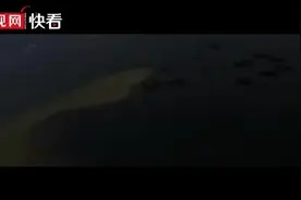 81192，我们永远等你返航视频封面