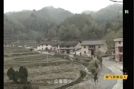 他给竹子打“吊针”，酿造美好新生活图片