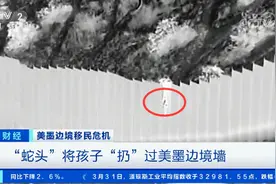 这一幕令人震惊！4米高的围栏，墨西哥“蛇头”将孩子扔过美墨边境墙图片