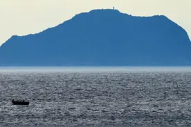 署名文章：游锡堃的“台独”言论荒谬可悲图片