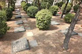 面对天价墓地，节地生态葬如何“叫好又叫座”？图片