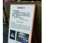 涉水项目不能自带雨衣？深圳欢乐谷回应图片
