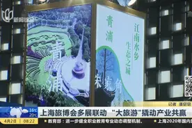 上海旅博会多展联动  “大旅游”撬动产业共赢视频封面