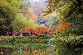 登临岳麓山 漫步橘子洲图片