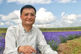 我在台湾讲真实的新疆，果不其然…图片