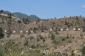 攀枝花：建5600公里经果林隔离带，防“家火上山”“山火进村”图片