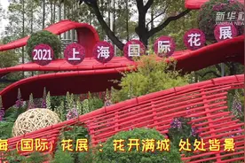 上海（国际）花展 ：花开满城 处处皆景视频封面