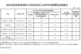 山东省属企业负责人2019年年薪公布图片