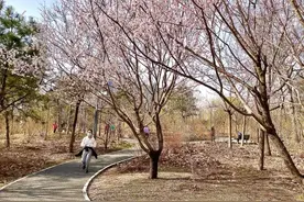 美媒：想跑步减肥吗？这份完全手册收好图片