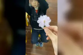 57秒丨童言无忌！幼儿园小朋友采花送老师原因“扎心”：清明节快到了视频封面