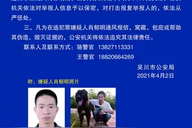吴川市发生一起重大刑事案件，警方发布悬赏通告图片