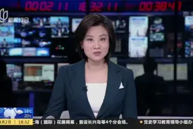 中共上海市委常委会举行会议  传达学习习近平总书记近期关于党史学习教育重要指示精神视频封面